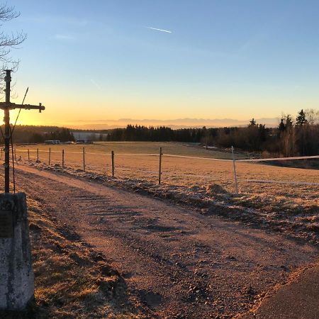 Pfaffensteghof Apartment Rickenbach  Bagian luar foto