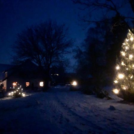 Pfaffensteghof Apartment Rickenbach  Bagian luar foto