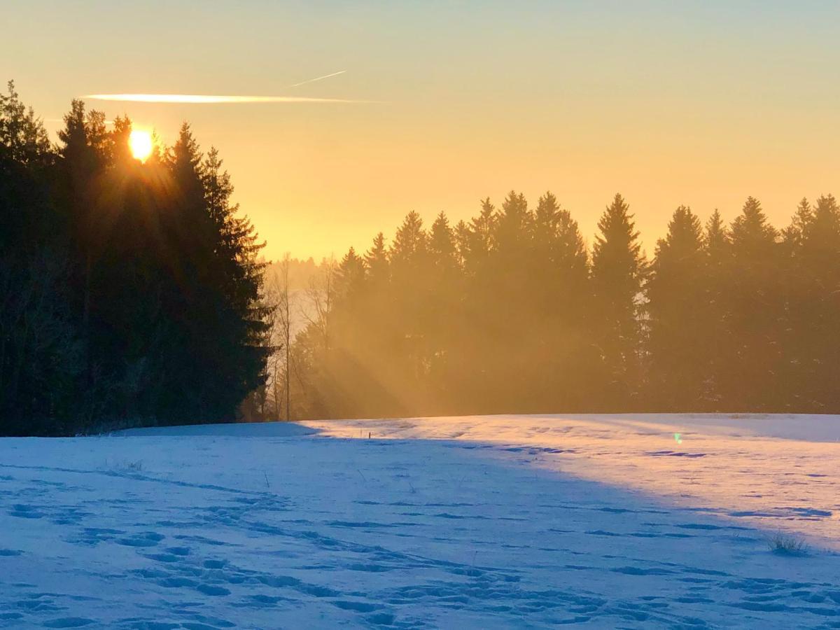 Pfaffensteghof Apartment Rickenbach  Bagian luar foto