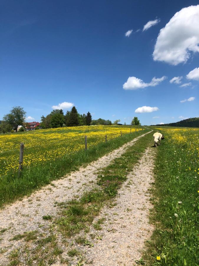 Pfaffensteghof Apartment Rickenbach  Bagian luar foto
