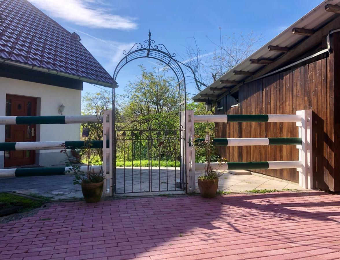 Pfaffensteghof Apartment Rickenbach  Bagian luar foto